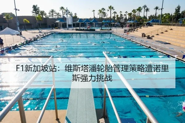 F1新加坡站：维斯塔潘轮胎管理策略遭诺里斯强力挑战